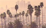 bevhillshero