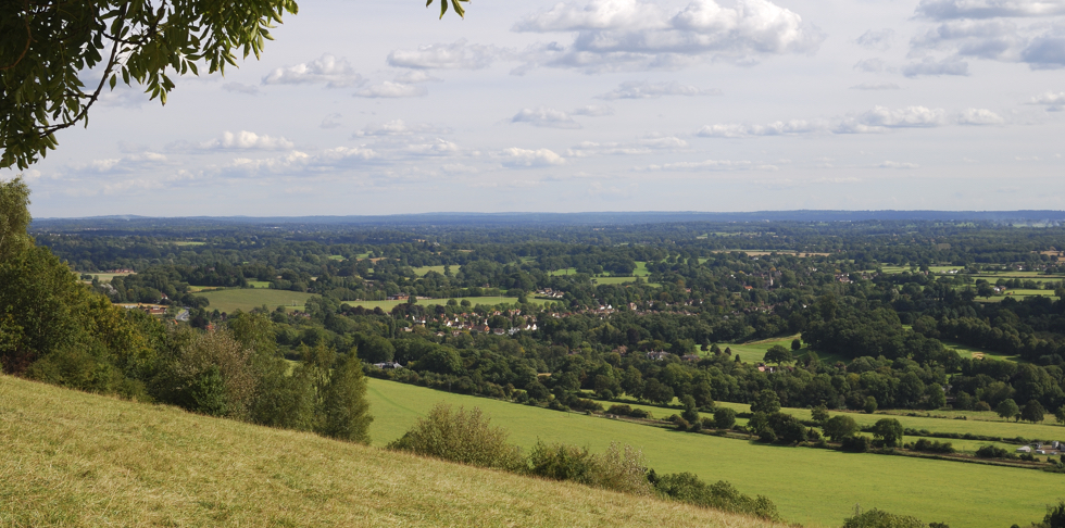 Surrey Hills