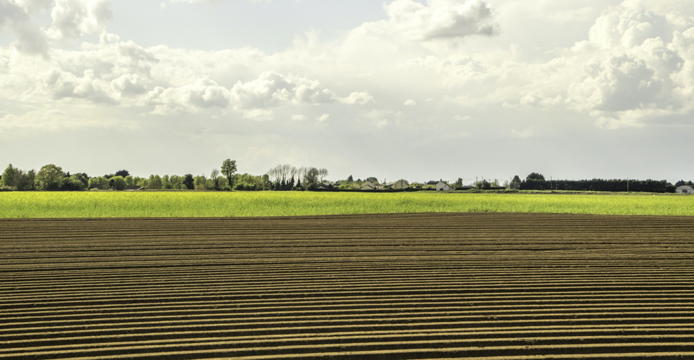 Lincolnshire agriculture