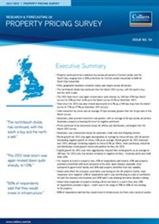 Property-Pricing-Survey-July-2012_Thumb