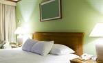 Sentiment for hotel investment remains positive for 2013