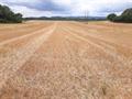 Land For Sale in Land At Londgon Heath, Tewkesbury, Worcestershire, WR8 0RJ
