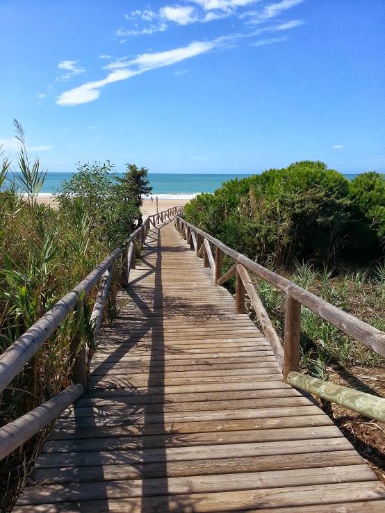 Hotel For Sale in Conil de la Frontera, Cadiz, 11140