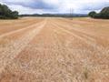 Other Land For Sale in Land At Londgon Heath, Tewkesbury, Worcestershire, WR8 0RJ