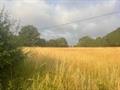 Development Land To Let in Land At Rendcomb, Cirencester, Gloucestershire, United Kingdom, GL7 7HA
