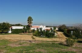Finca Cielo