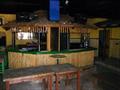 Bar For Sale in Playa de las Americas, TENERIFE