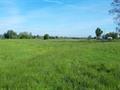 Land For Sale in Land At Longford, Tewkesbury Road, Gloucester, Gloucestershire, GL2 9BG