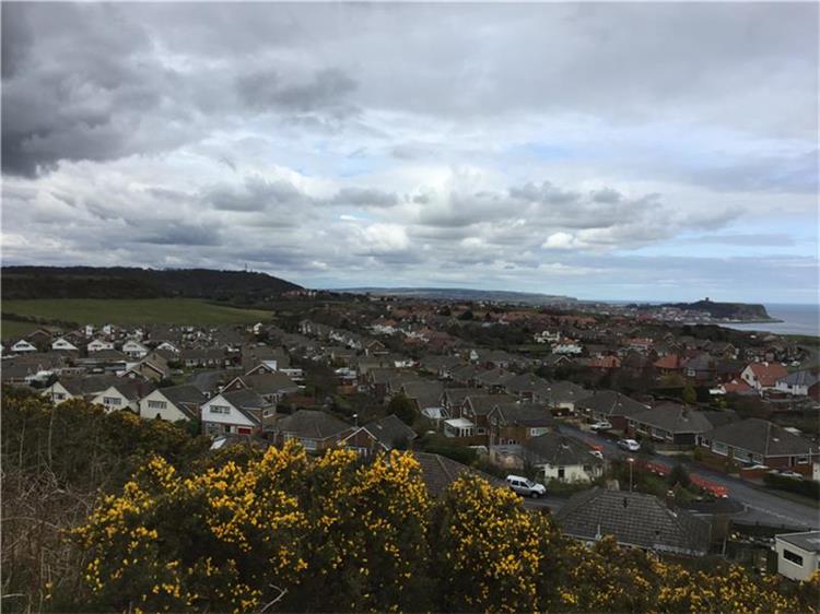 Residential Land For Sale in Land At Osgodby, Scarborough, North