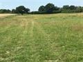 Land For Sale in Land At Cooks Lane, Gloucester, Gloucestershire, GL19 3LD