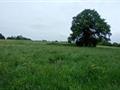 Development Land For Sale in Land At Oxlynch Lane, Stonehouse, Stroud, United Kingdom, GL10 3DF