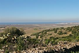 Fabulous coastal views